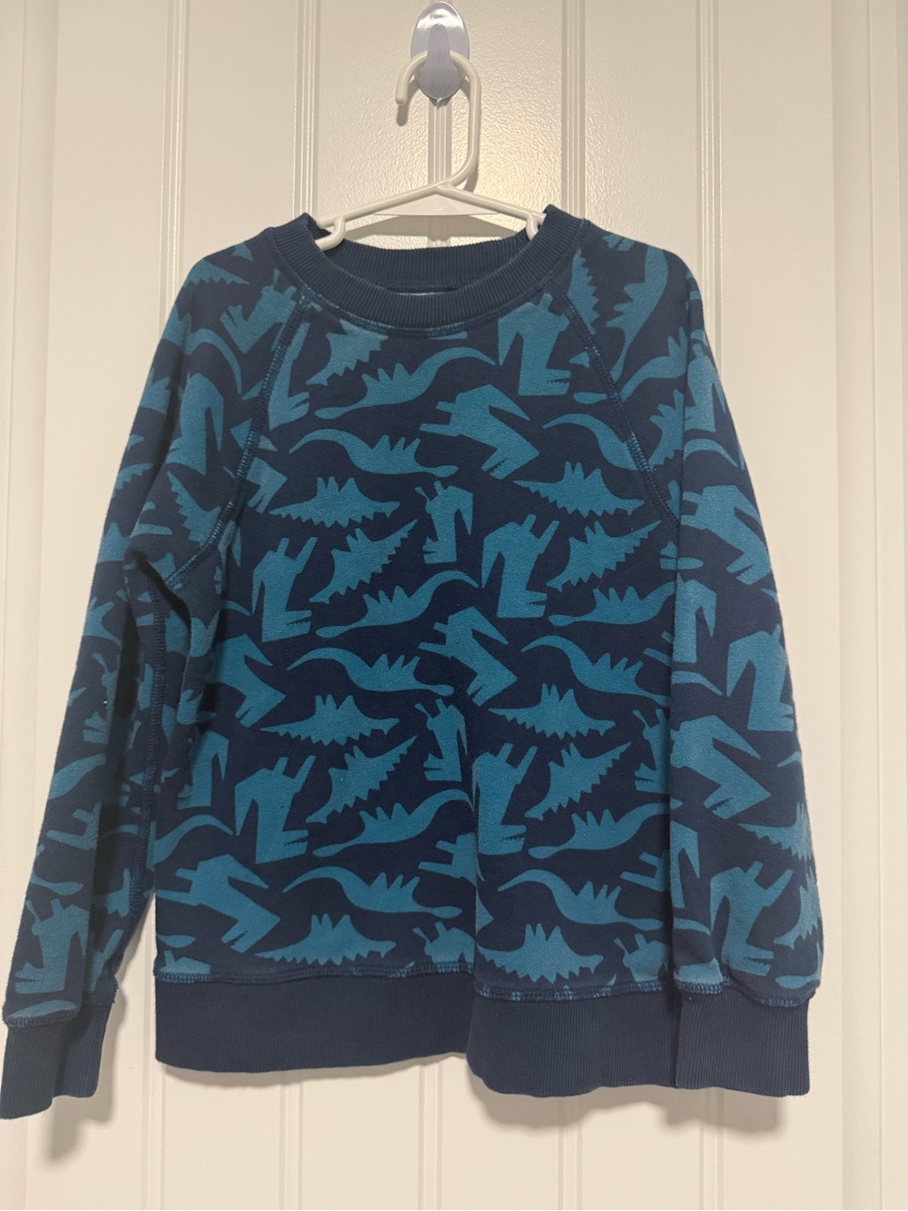 Hanna Andersson Blue & Teal Dinosaur Print Sweatshirt Size 120cm US 6-7
